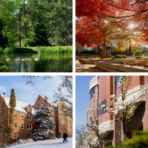 图片2(1).png 图片2(1).png