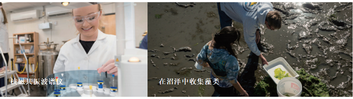 图片14.png 图片14.png