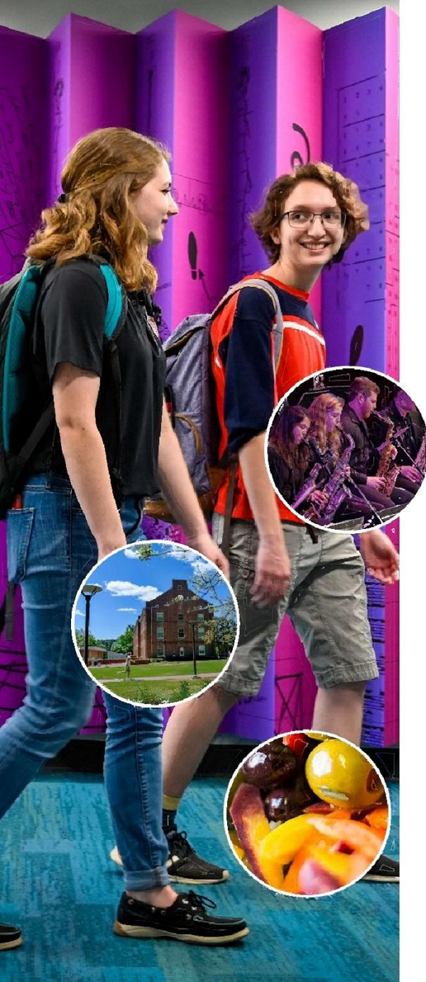 图片8.png 图片8.png